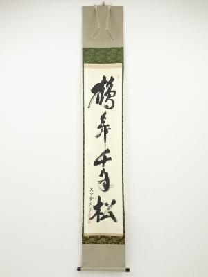 大徳寺立花大亀筆　「鶴舞千年松」一行書　肉筆紙本掛軸（共箱）